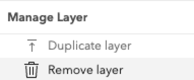 manage layer